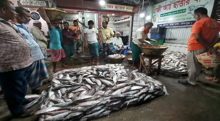 ভর মৌসুমেও ইলিশের দাম চড়া